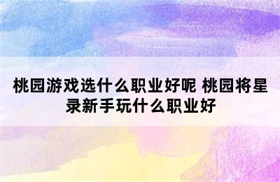 桃园游戏选什么职业好呢 桃园将星录新手玩什么职业好